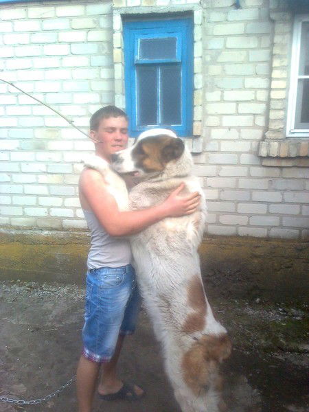 Артем Яшковский