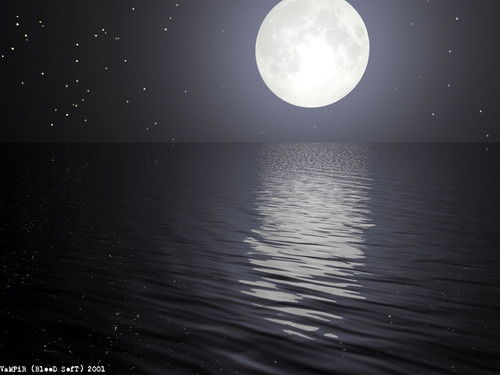 Наталья Горсткина