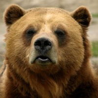 Максим Минаев