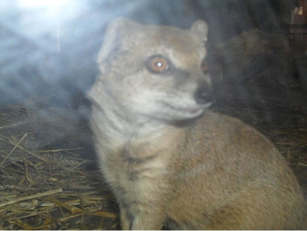 Марсель Закиров