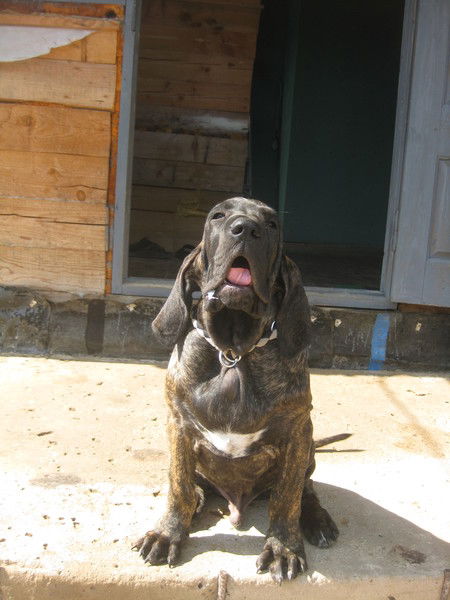 Виктор K@r@bzol