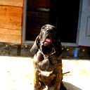 Виктор K@r@bzol