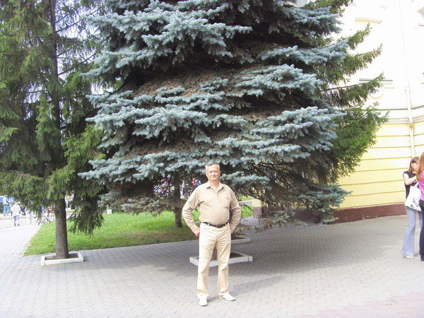 Николай Алексеев