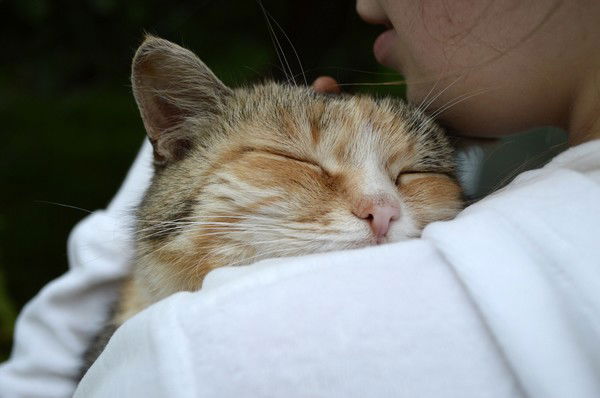 Александра Солдатова