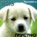 Бекжан Куанышбаев