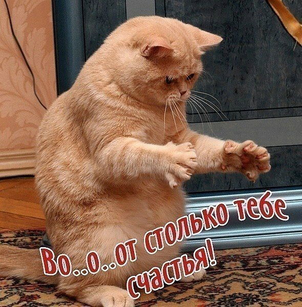 Александр ..........