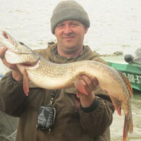 Анатолий Козлов