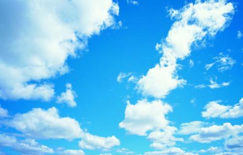 Наташа Величко