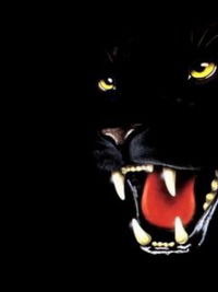 Татьяна Улашкевич