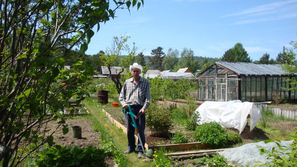 Владимир Бережных