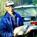 Андрей Киселёв