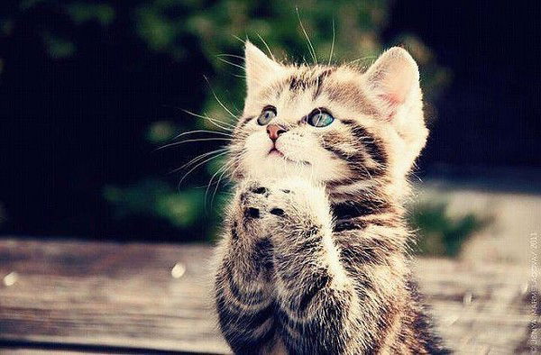 Олеся And Валера