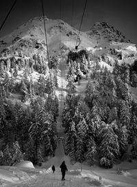 Alexey Krivogornitsyn