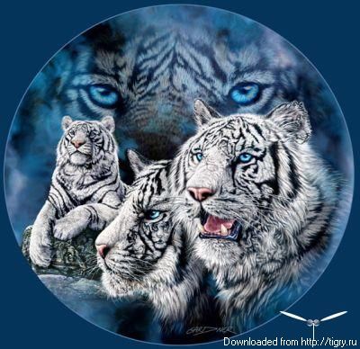 Рустам Бикташев