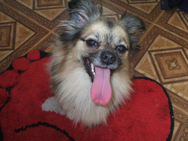 Светлана Dfrtgf