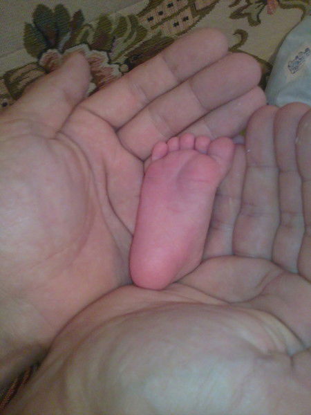 Серёжка Быстров