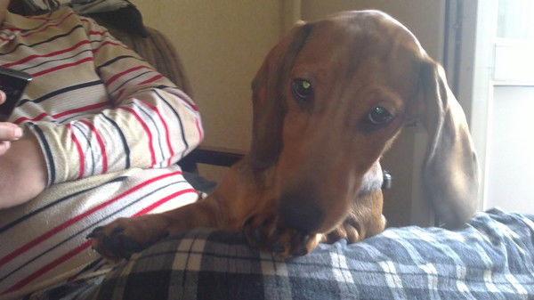 Александр Елисеев