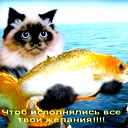 В К