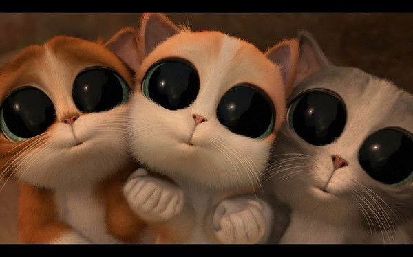 Андрэ Скаллета