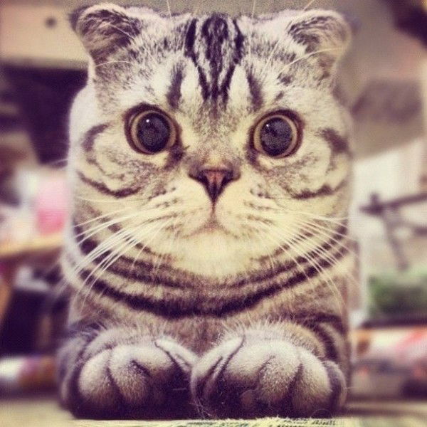 Карина Барабанова