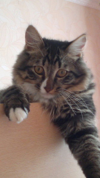 Надежда Середа