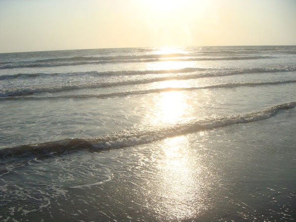 Ольга Давыдкина