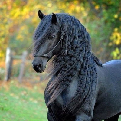 Юлия Капустина