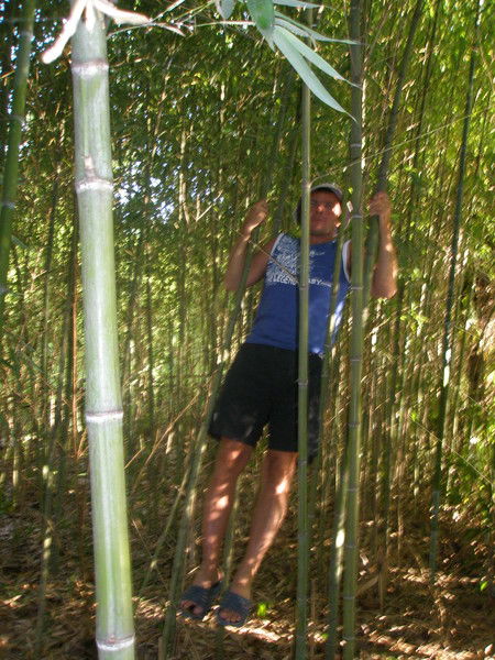 Александр Росяйкин