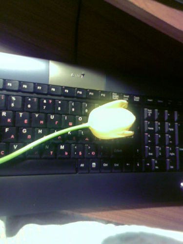 Аделия Саган