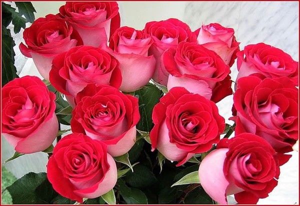 Любовь Иванова