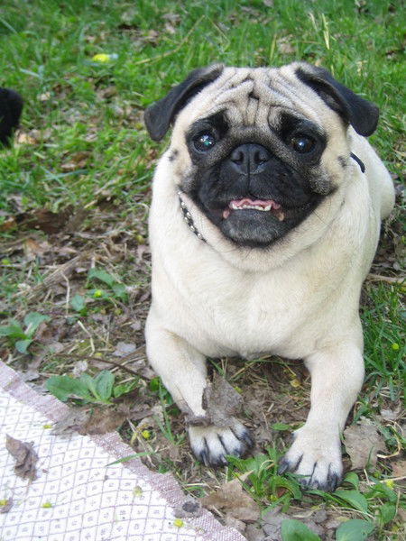 Ирина Зварыгина