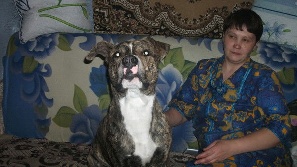 Елена Сайкова