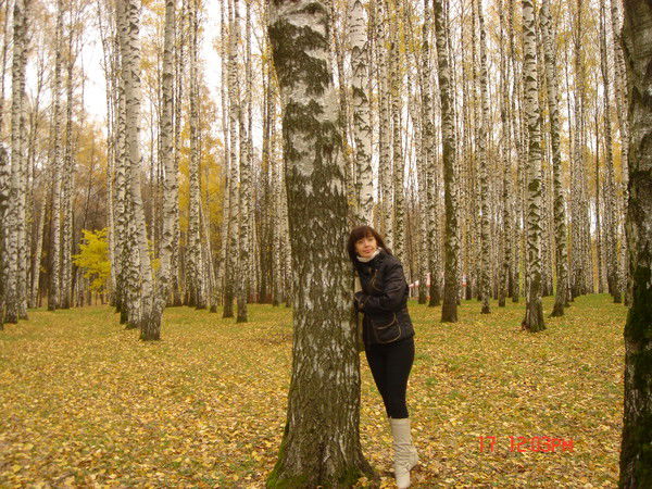 Елена Алимова