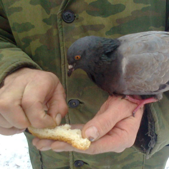 Олег Воронин