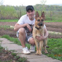 Александр Гром