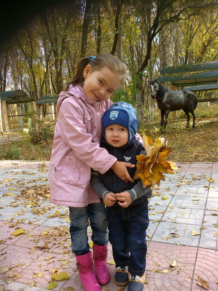 Инкалок Пони