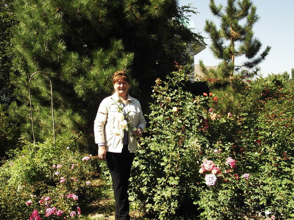 Елена Краснова