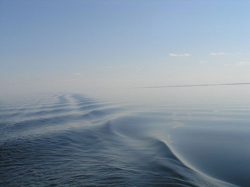 Виктор Викторович