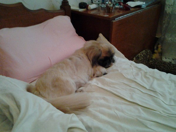 Ирина Курякова