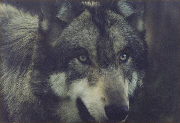 Администрация Гилянинского Сельского Пос