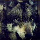 Администрация Гилянинского Сельского Пос