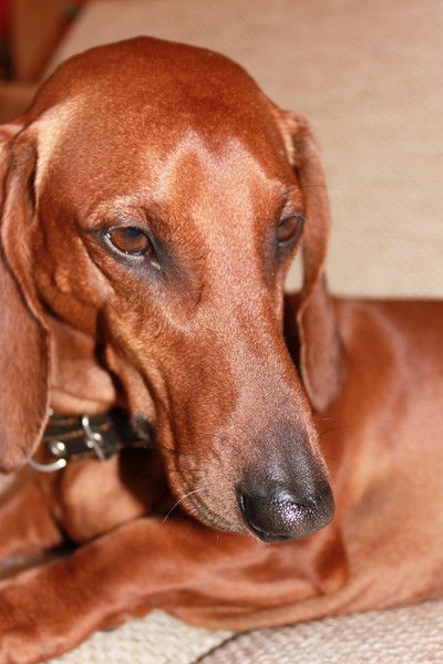 Олег Мифтахов