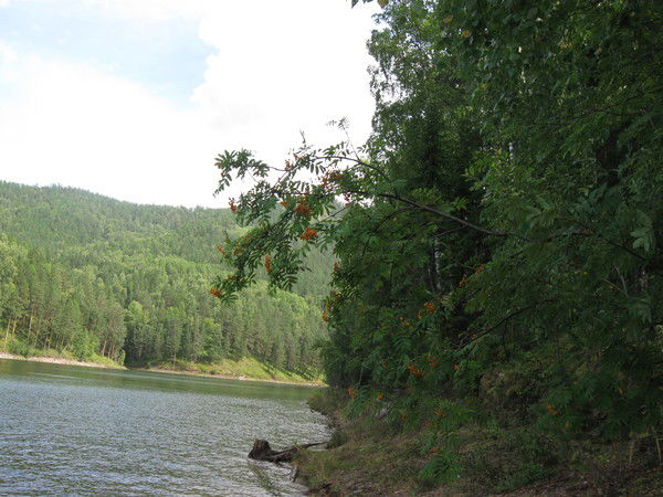 Алиса Малахова