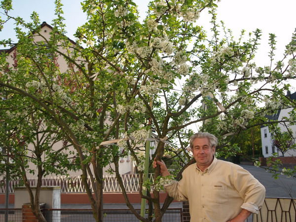 Пауц Вильгельм