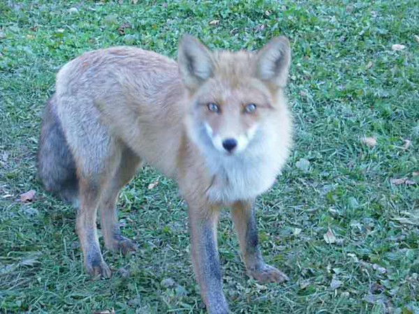 Александр Выборных