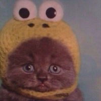 Влад Зарифов