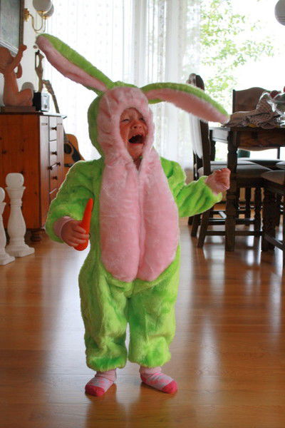 Александр Толчин