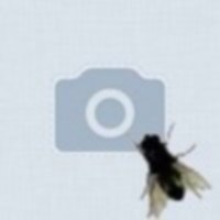 Иван Васильевич