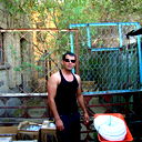 Sher Sher