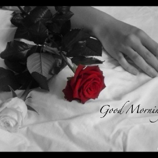 Наталья Бебнева